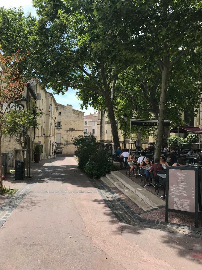 Superbe ! Appart T2 - Centre Historique & Tram - Situation Ideale Apartment Montpellier Bagian luar foto