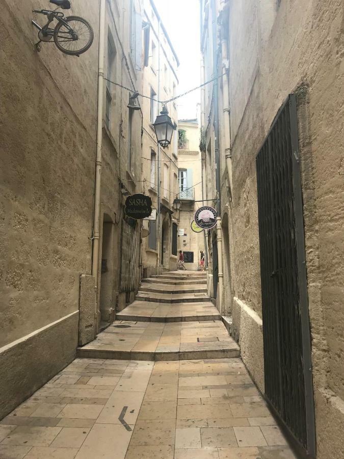 Superbe ! Appart T2 - Centre Historique & Tram - Situation Ideale Apartment Montpellier Bagian luar foto